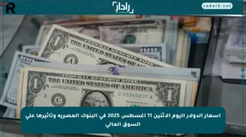 أسعار الدولار اليوم الاثنين 11 أغسطس 2025 في البنوك المصرية وتأثيرها على السوق المالي